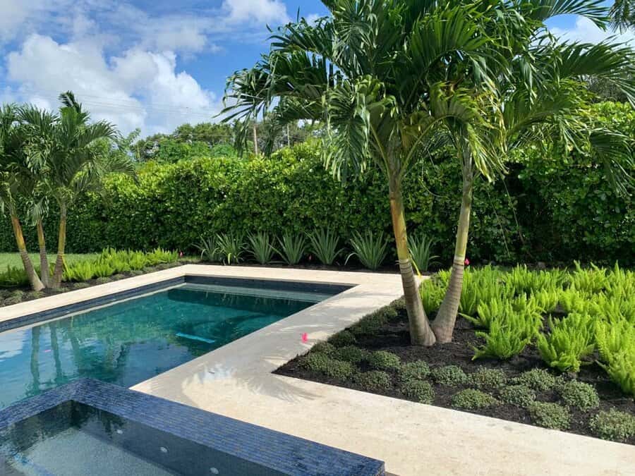 Luxurious Florida poolside landscape with lush palm trees, vibrant greenery, and a neatly trimmed hedge providing privacy in a tropical outdoor oasis