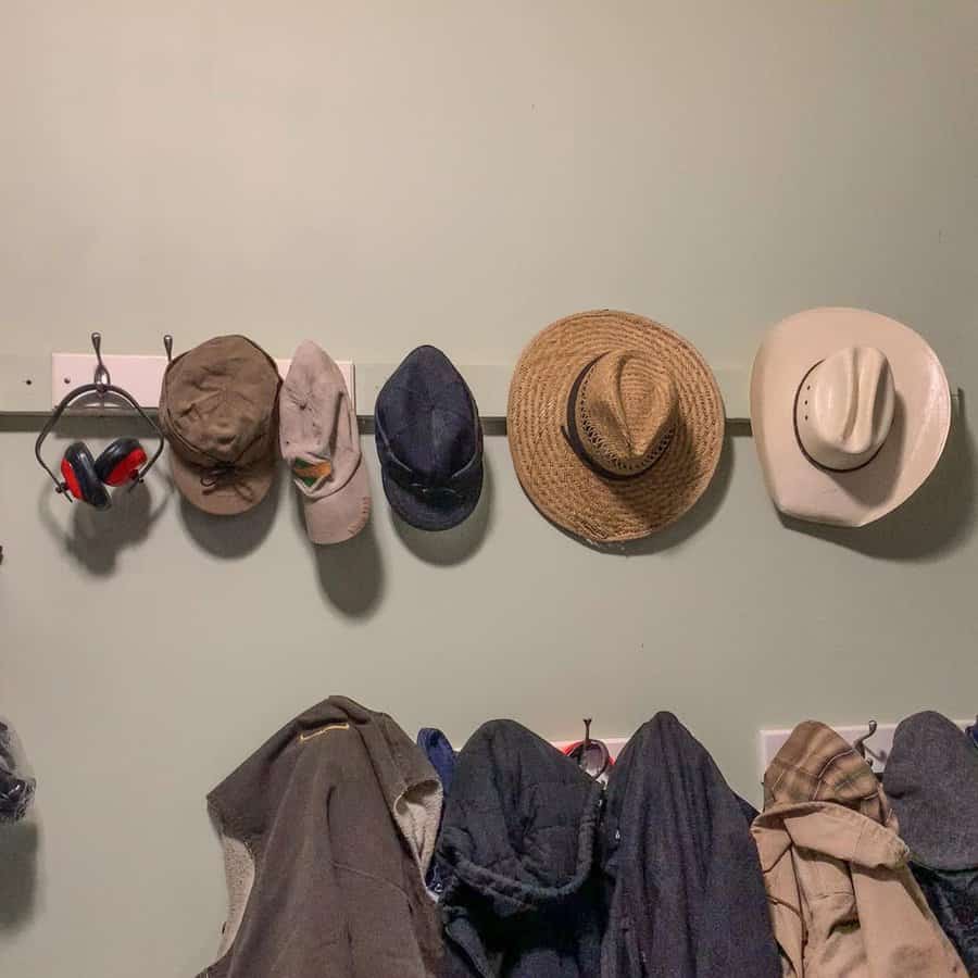 Wall mounted hat hooks