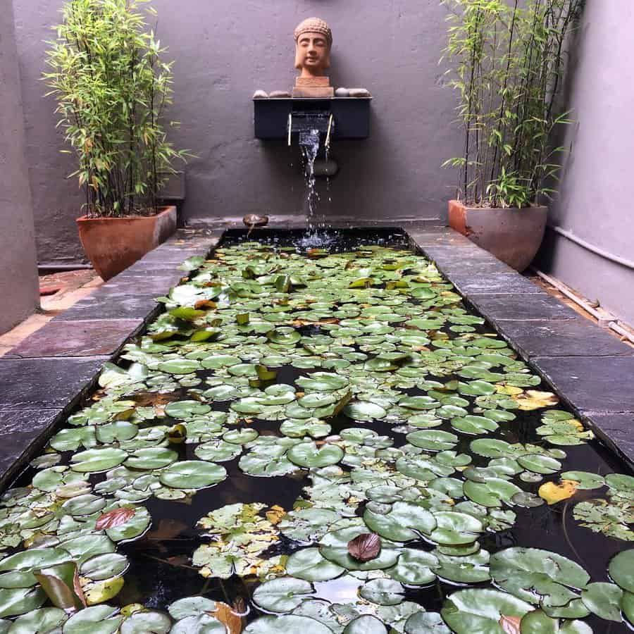 Zen garden pond with Buddha statue and lily pads