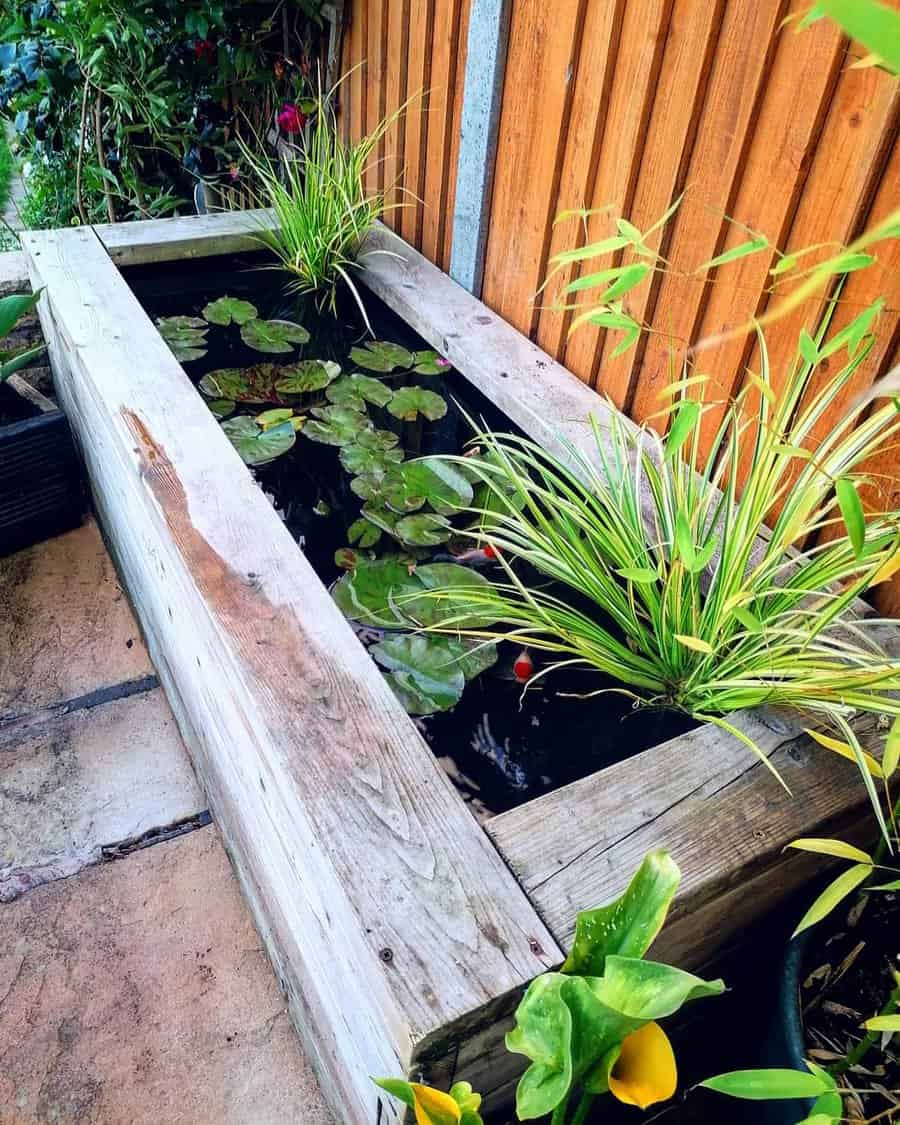 Rustic wooden raised pond with lily pads and plants