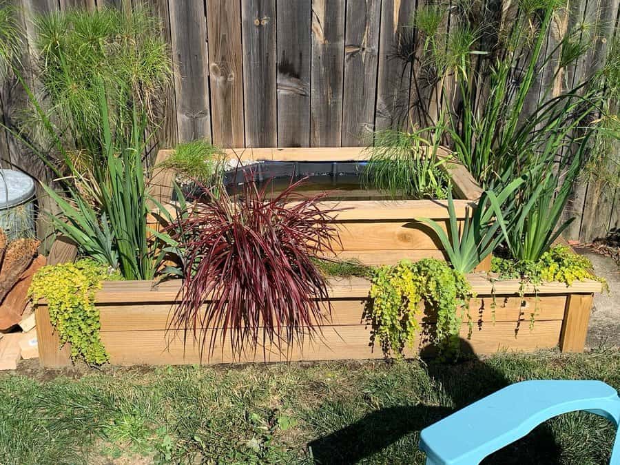 Wooden raised pond with ornamental grasses and plants