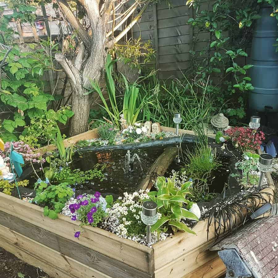 Raised Backyard Pond Ideas pastiegardener