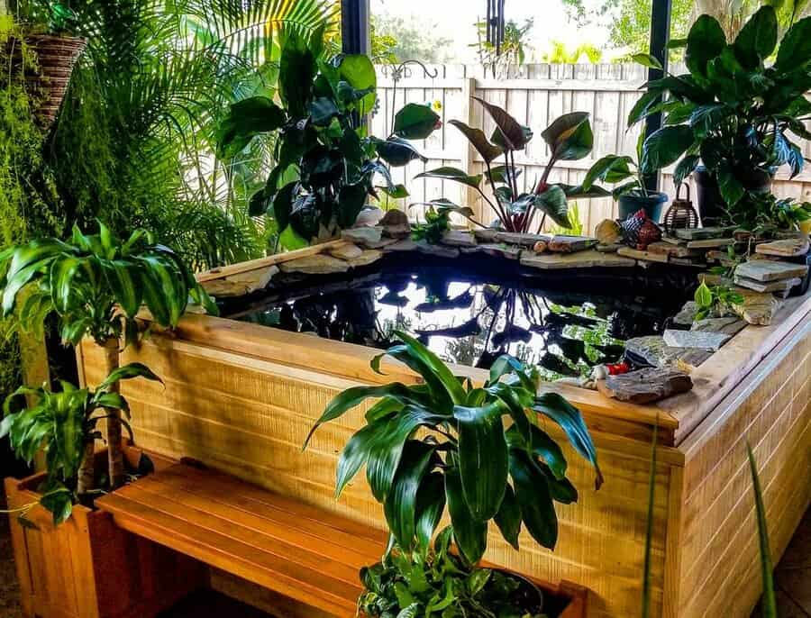 Tropical raised pond with lush plants and seating