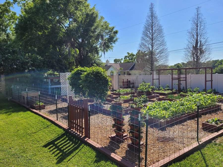 Garden boxes raised beds