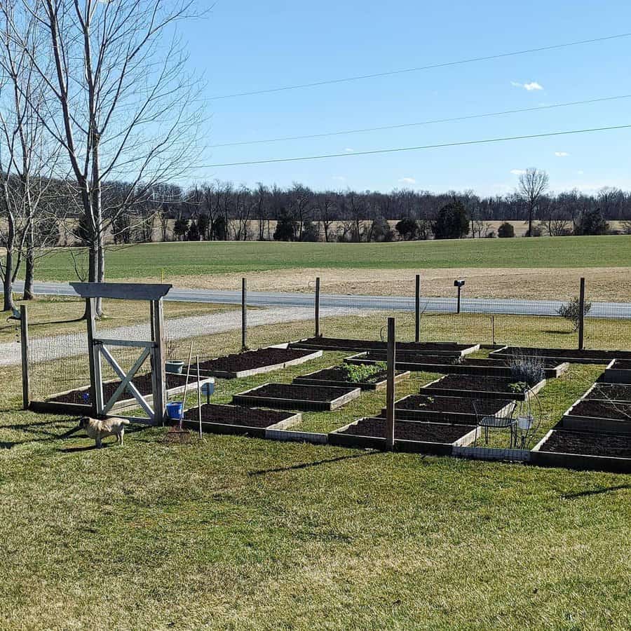 Garden boxes raised beds