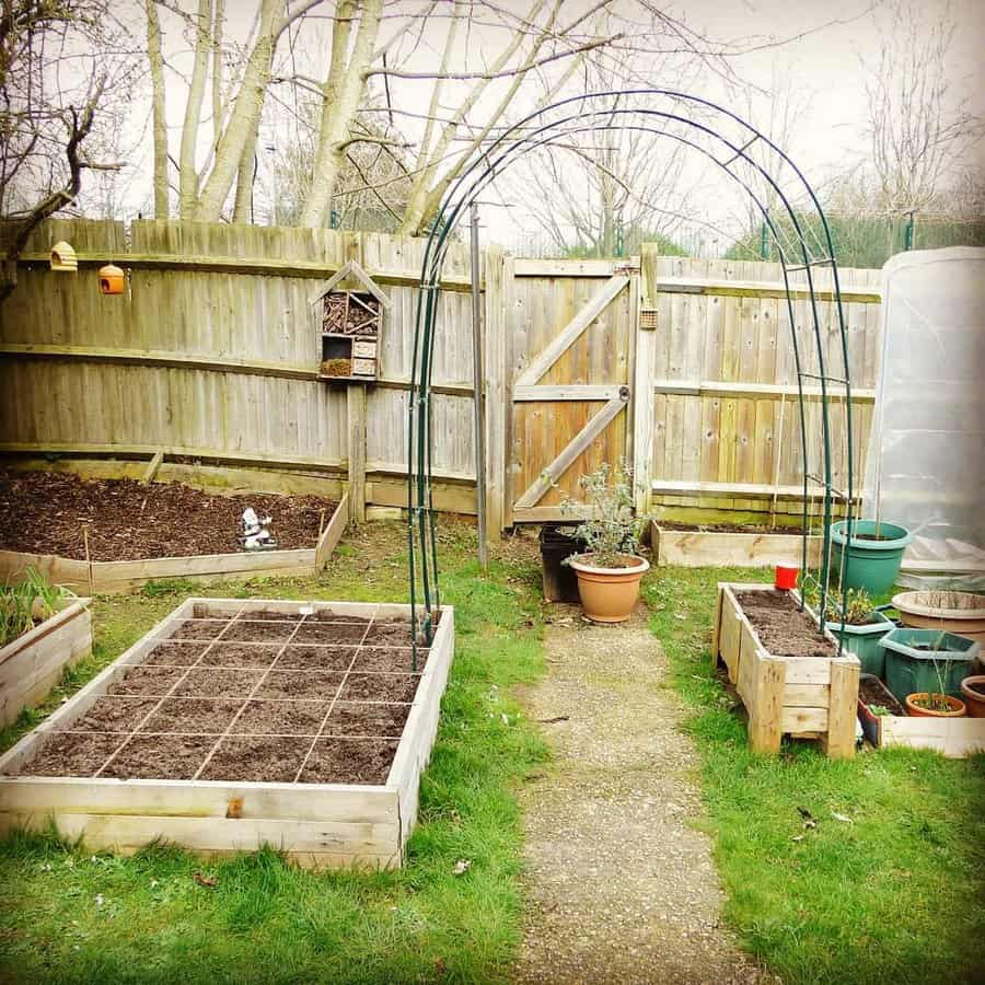 garden with raised bed