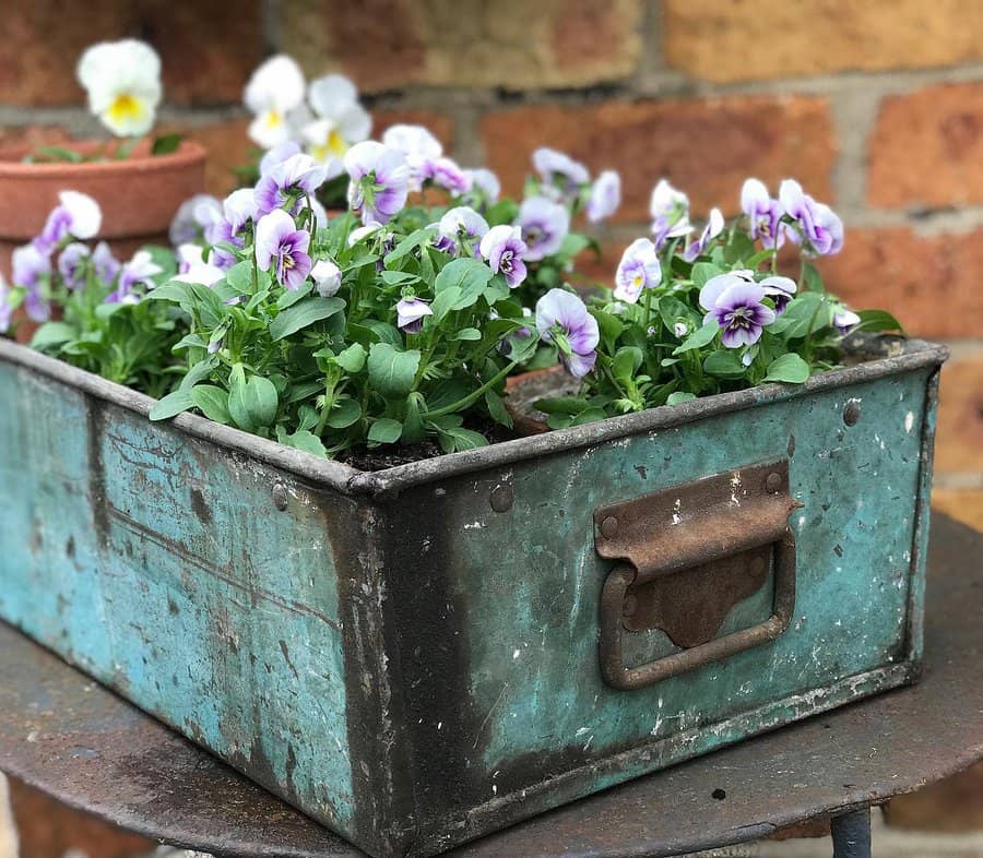 DIY plants box