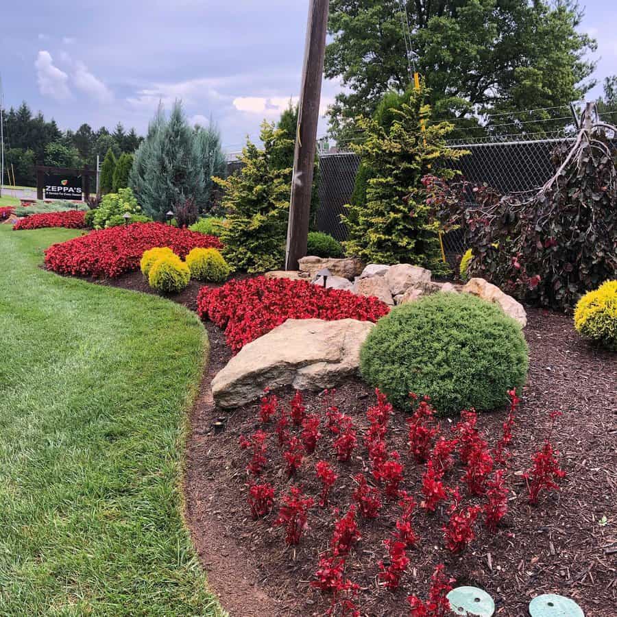 Vibrant landscaping with a mix of bold red and yellow foliage, accented by lush green shrubs and a backdrop of evergreens. Natural rock formations enhance the design, creating a striking yet low-maintenance garden that's perfect for any outdoor space.