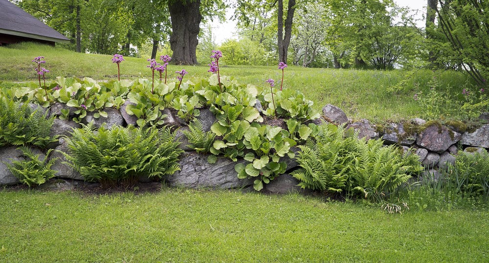 Natural stone wall