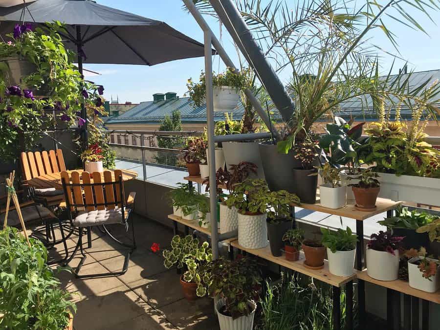 Sunny balcony with wooden chairs, table, umbrella, and various potted plants on shelves and ground, overlooking city rooftops