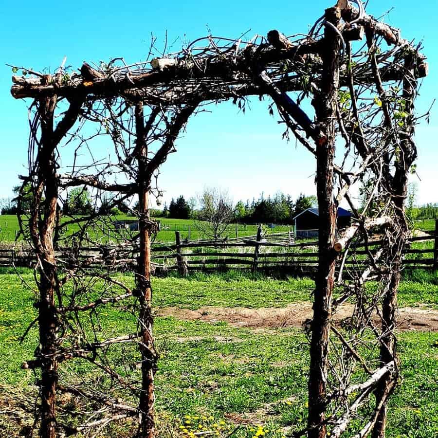 Rustic arbor