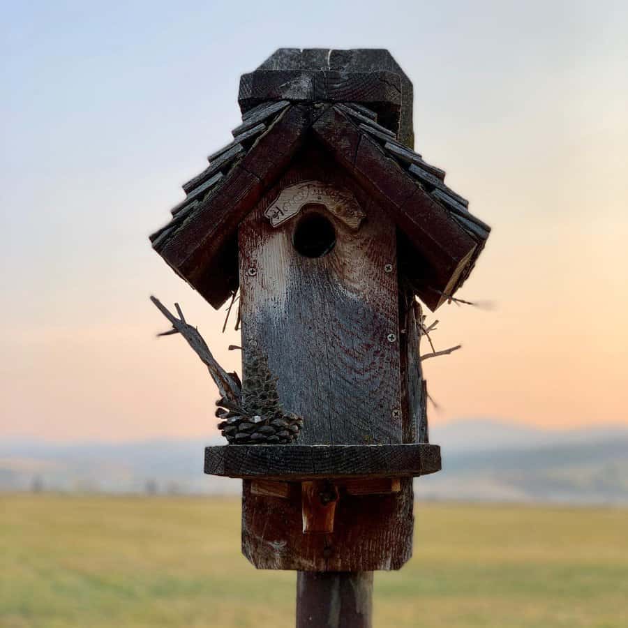Rustic birdhouse