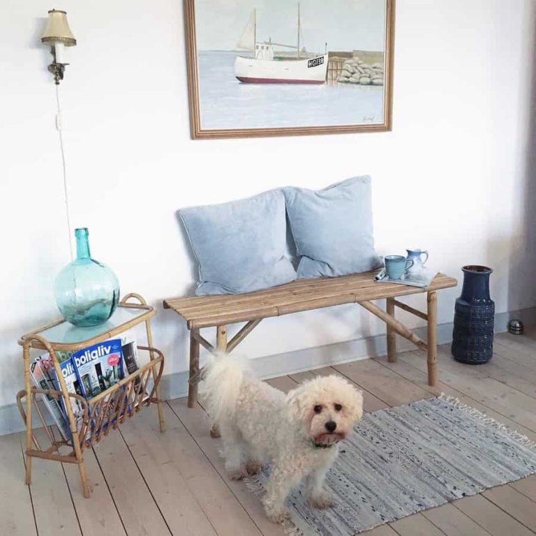 View of 14 Coastal Decor Ideas for All Rooms Inside Your Home