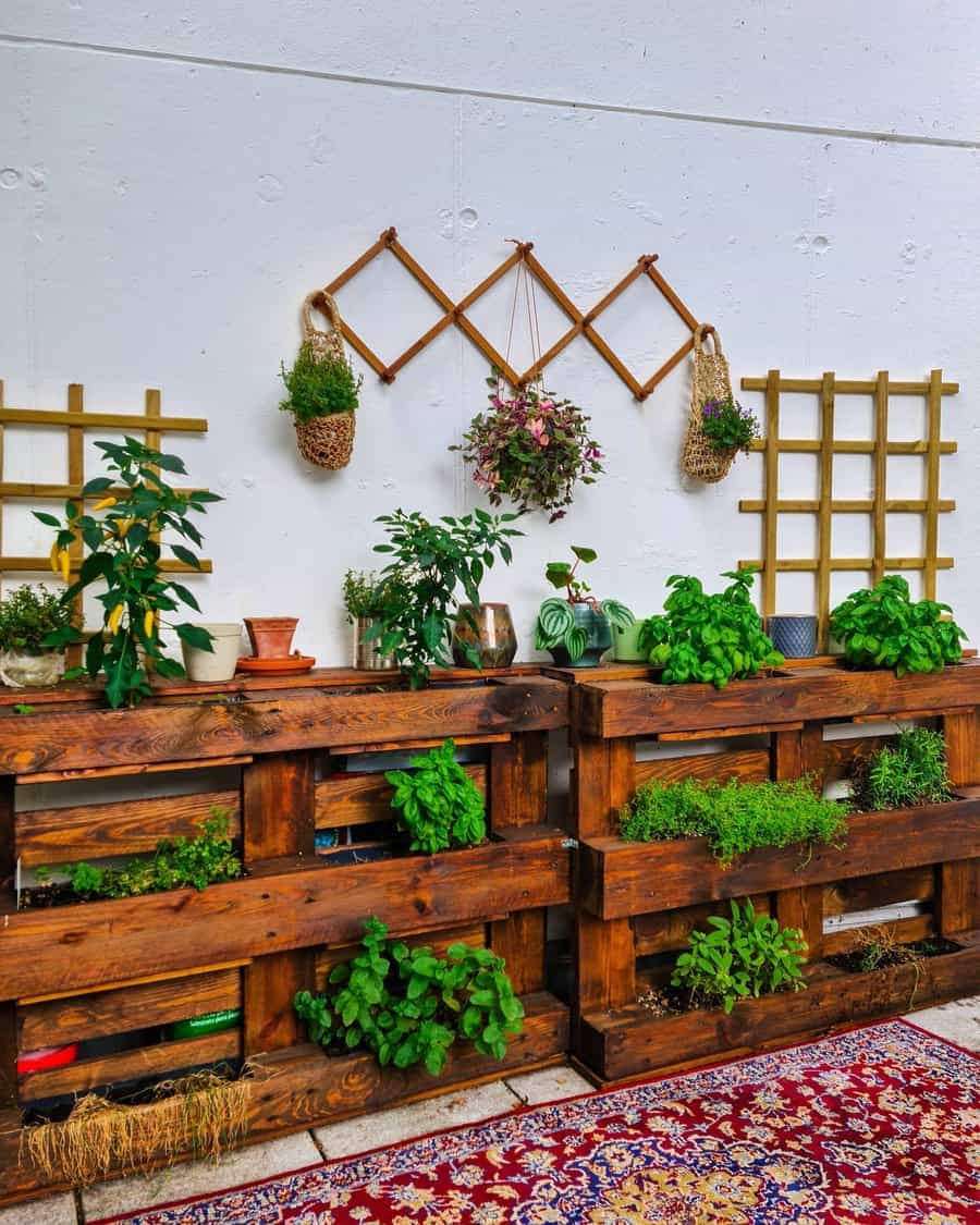 Wooden pallets with potted plants against a white wall adorned with hanging baskets and trellises