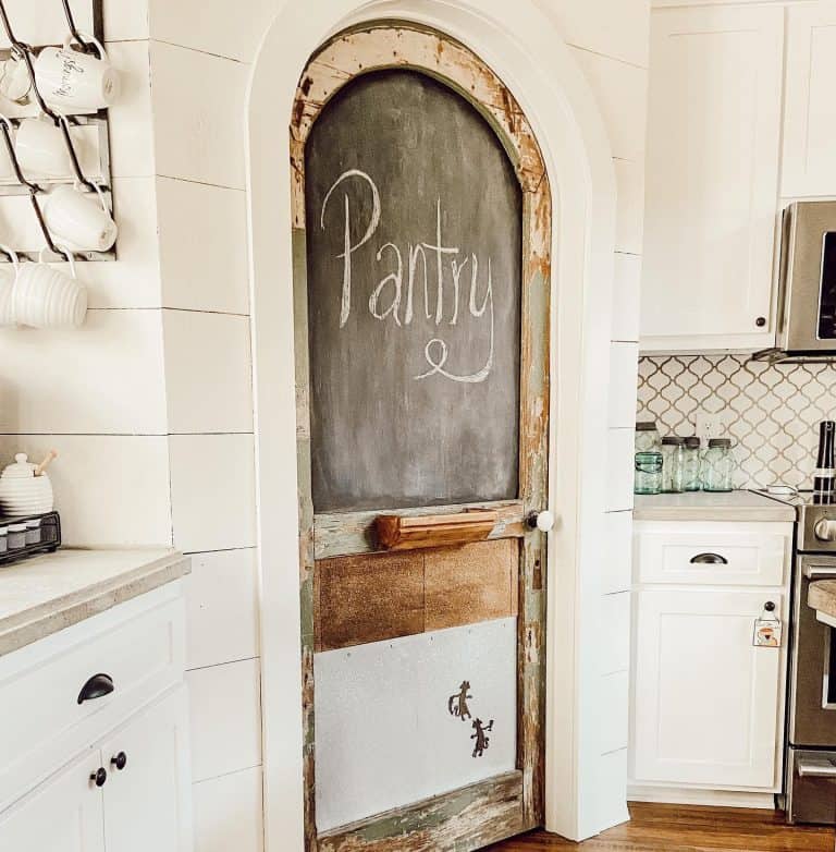 11 Pantry Door Design Ideas and Styles Trendey