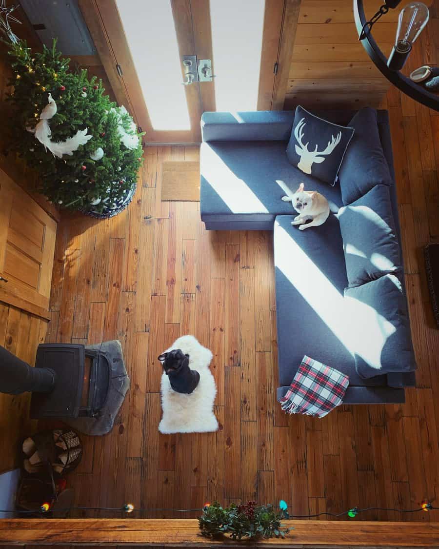 Tiny living room with a Christmas tree, two dogs on a hardwood floor, sunlight streaming, and a sectional sofa with an antler pillow