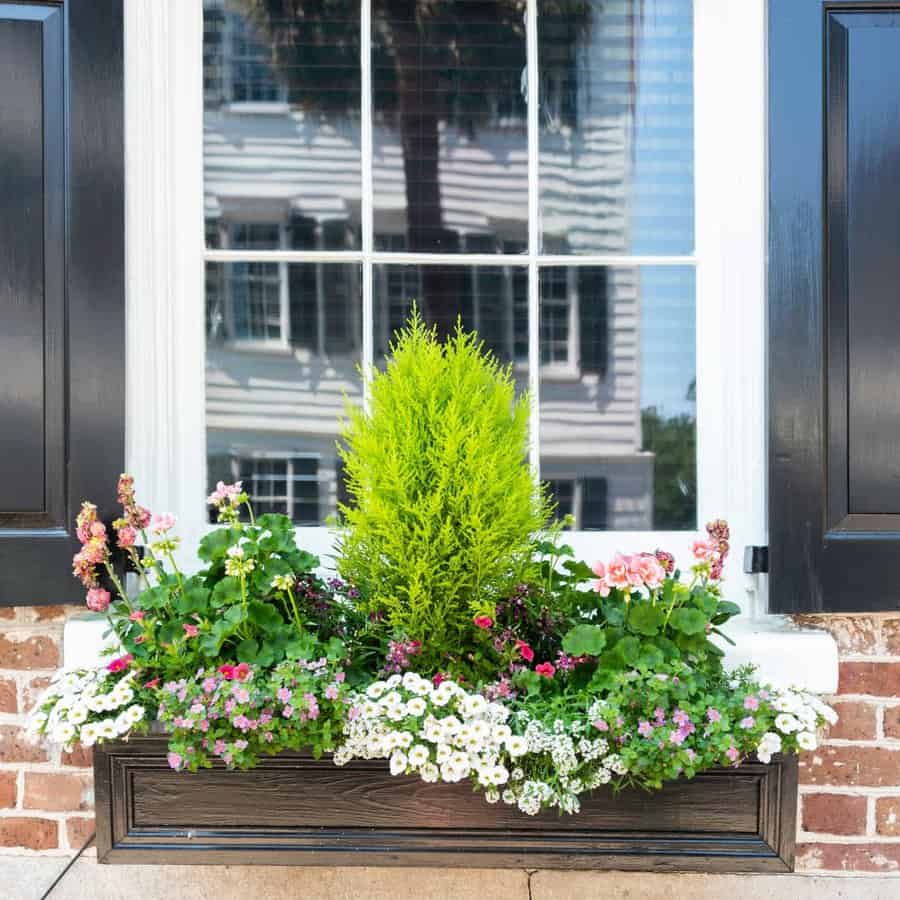 Low window box planter