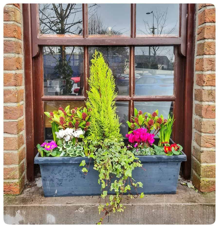 Standalone window box