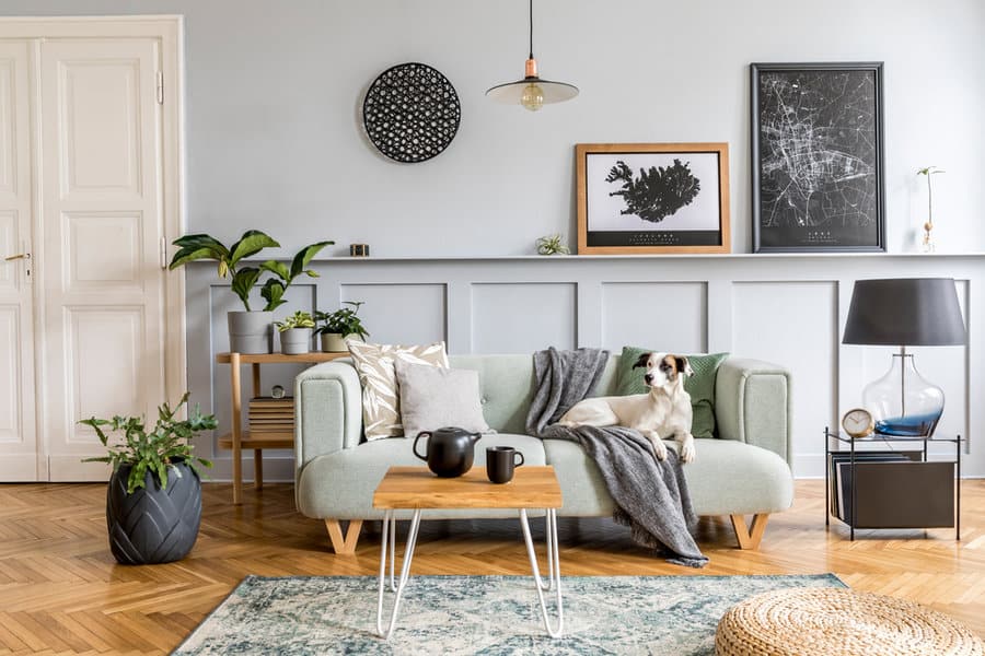 Chic living room with gray Scandinavian decor