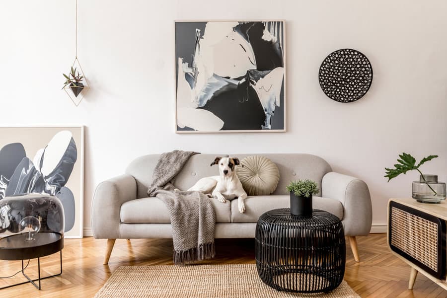 Living room with gray Scandinavian decor