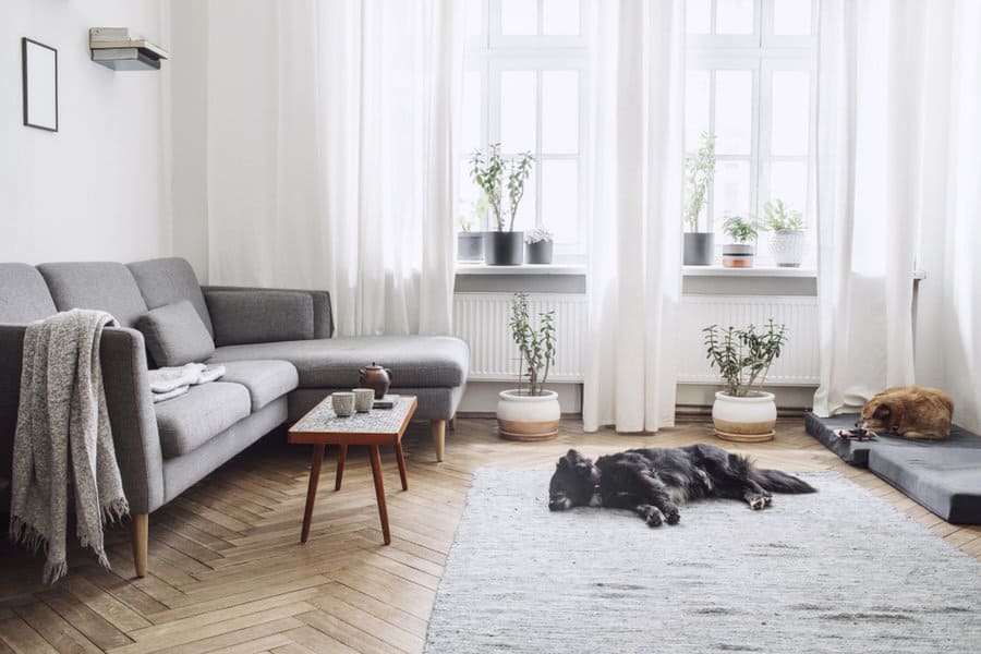 Chic living room with gray Scandinavian decor