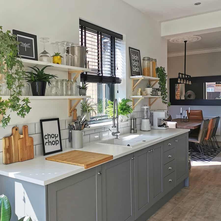 small galley kitchen with plants 