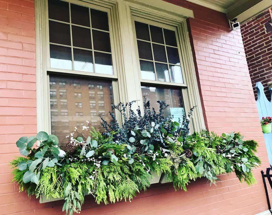 Eucalyptus and fern window box arrangement