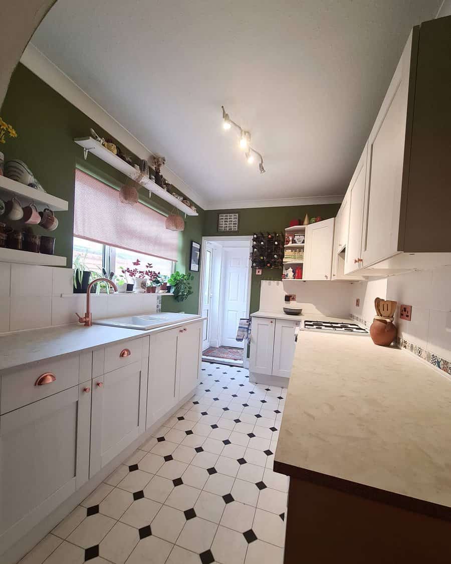 white galley kitchen with a pop of green