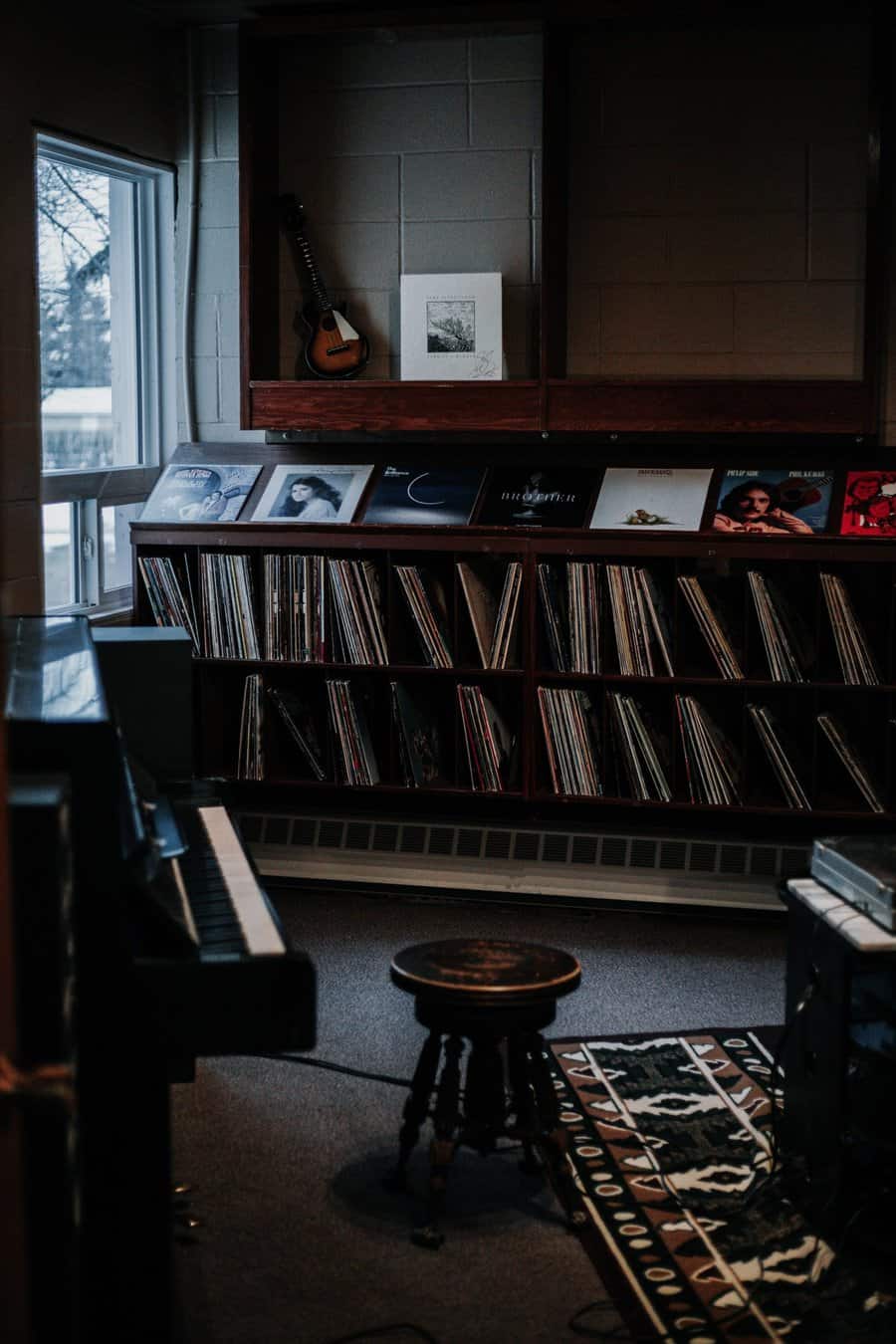 vinyl bookcase
