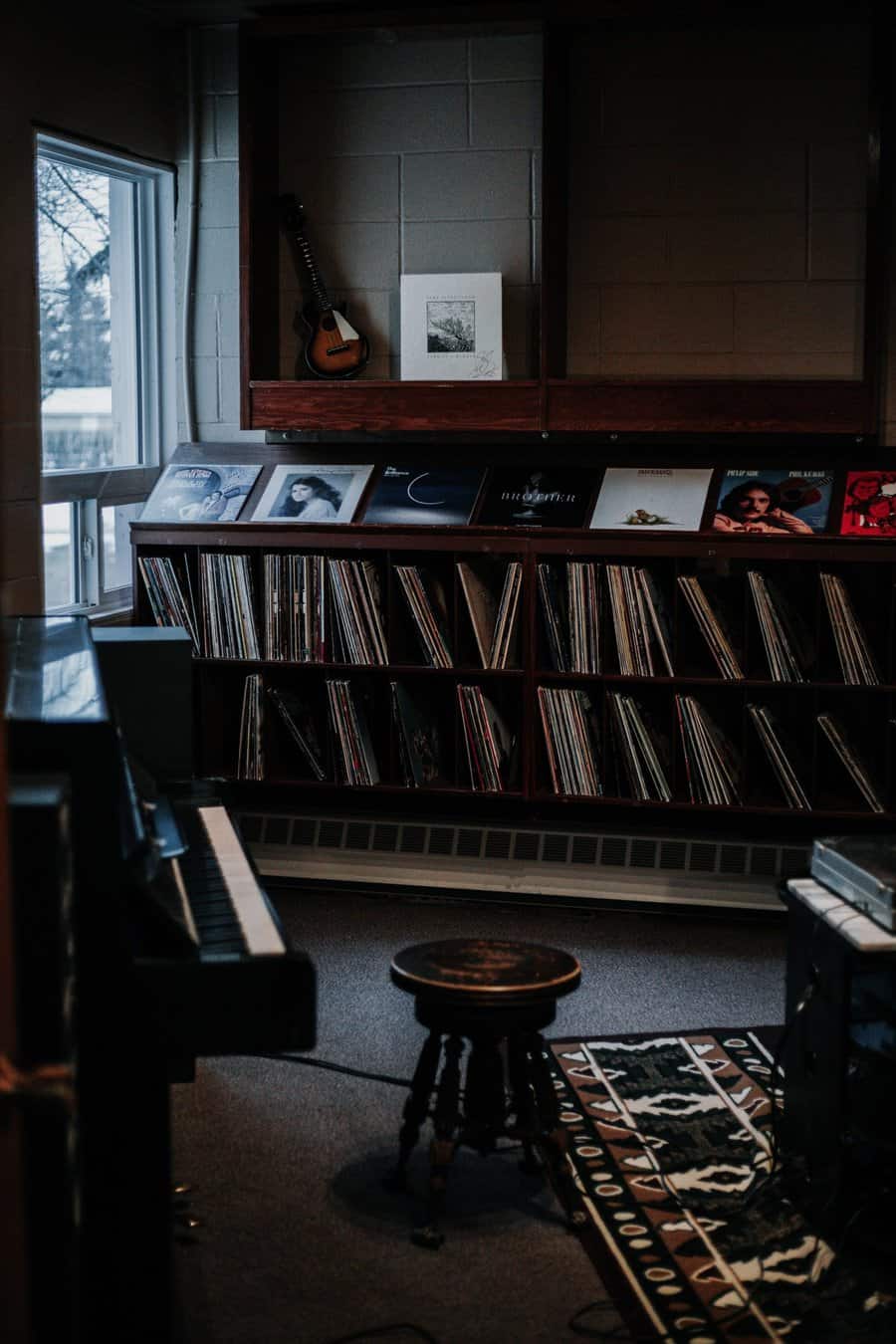 Vinyl shelf storage