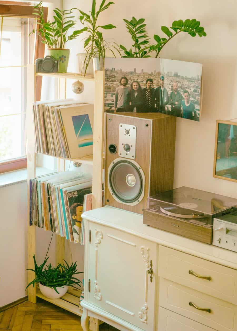 Vinyl shelf storage