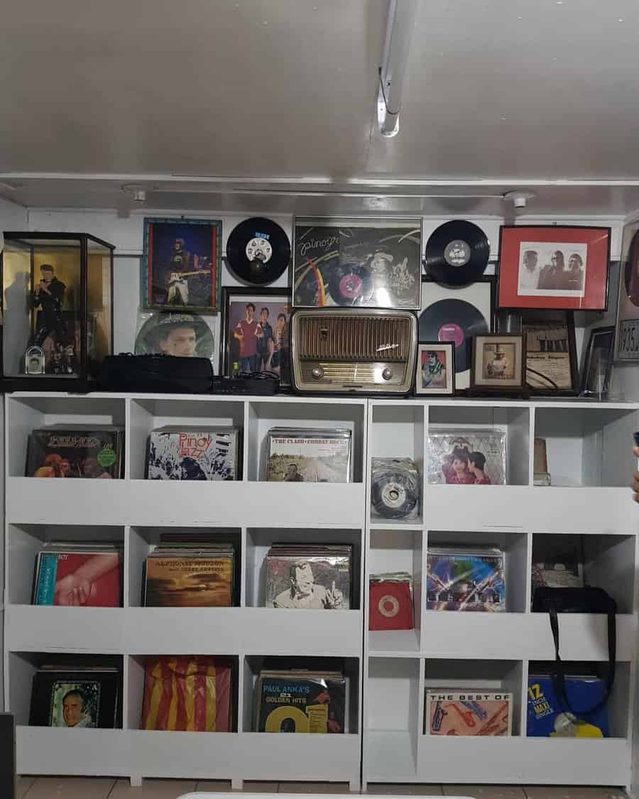 Vinyl shelf storage