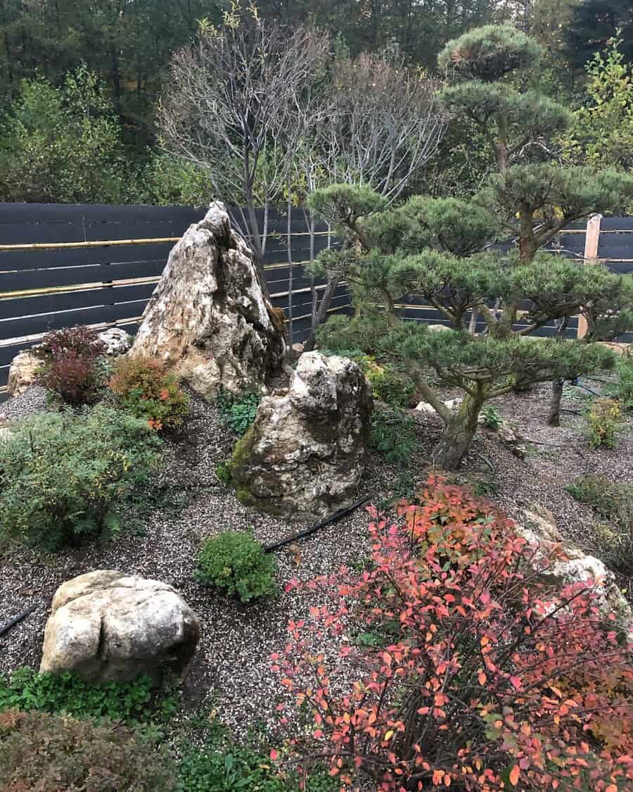 Rock garden with large stones, various shrubs, and small trees, set against a wooden fence and forested backdrop