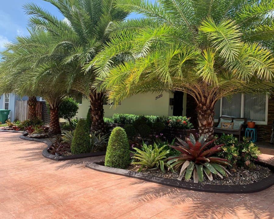 A landscaped yard features palm trees, neatly trimmed bushes, and colorful plants along a paved driveway in front of a house