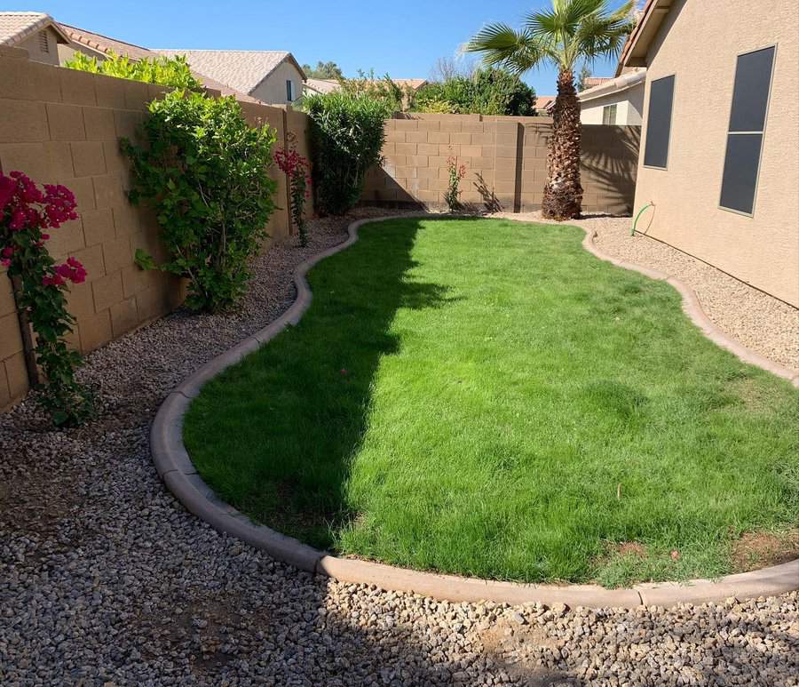 A small backyard with a curved lawn, surrounded by gravel and a few plants, adjacent to a block wall and a house