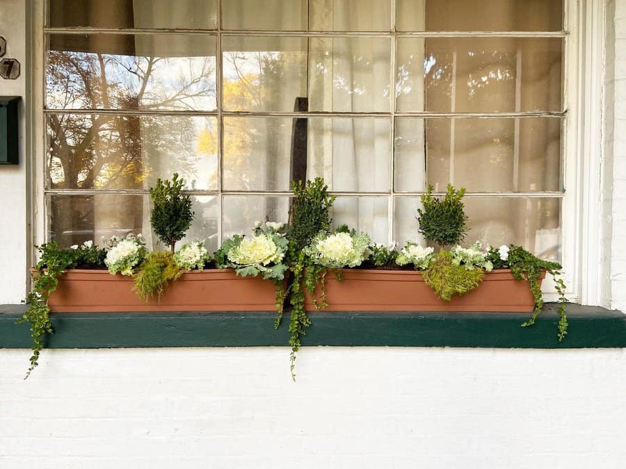 Standalone window box