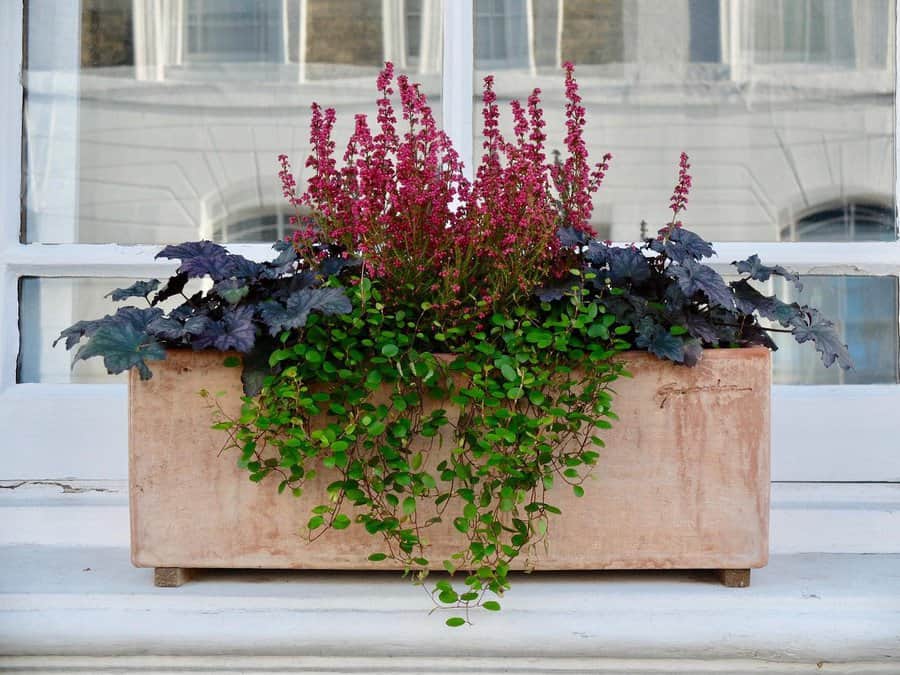 Standalone window box