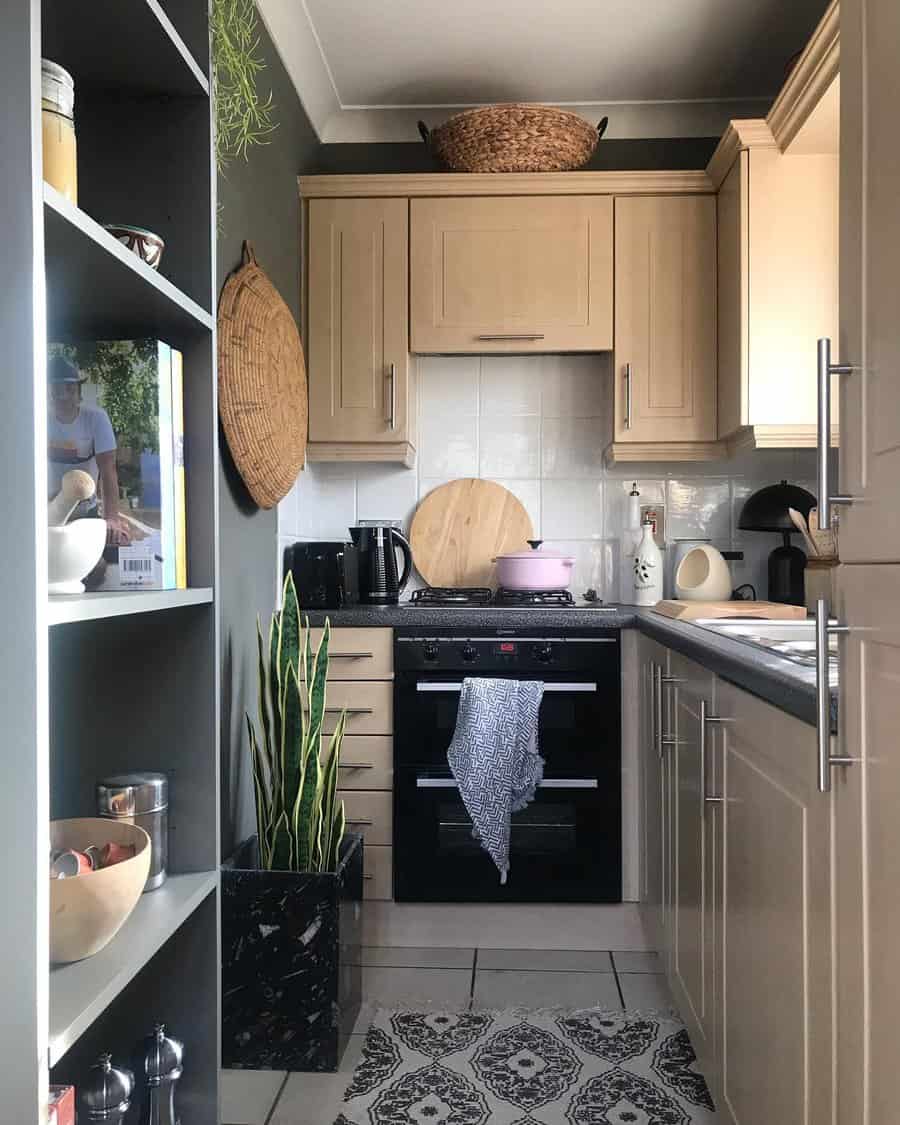 small galley kitchen with plants 