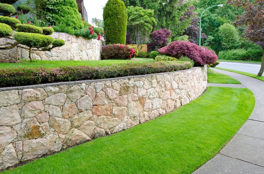 Sloped yard landscaping