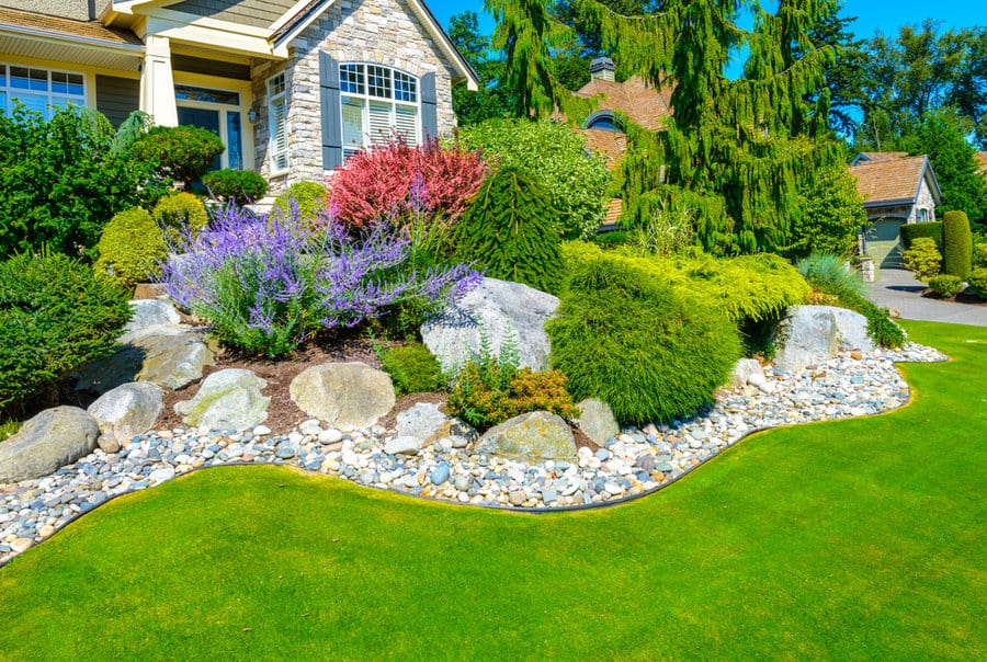 Sloped yard landscaping