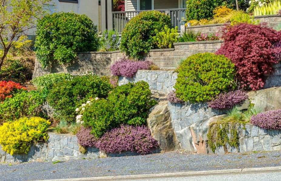 Sloped yard landscaping