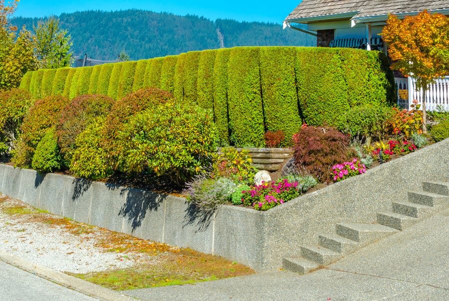 Sloped yard landscaping