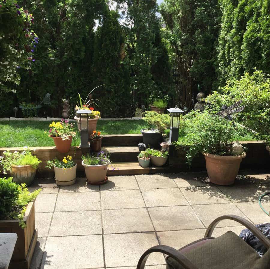 Container plants on patio