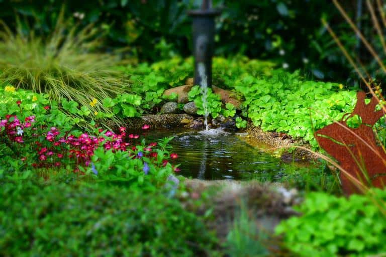 Intimate garden pond with vibrant flowers and fountain