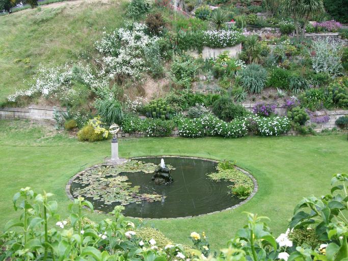 Tranquil garden pond with water lilies 