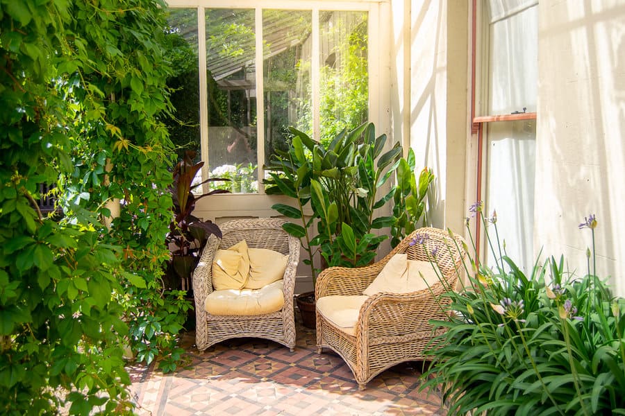 patio with plants 