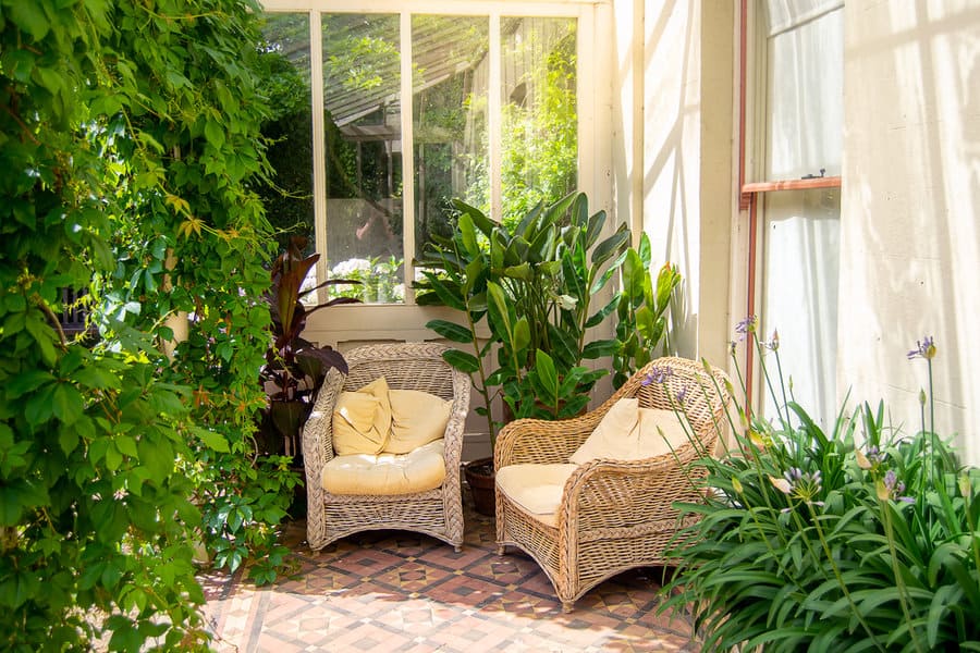 Patio with plants 