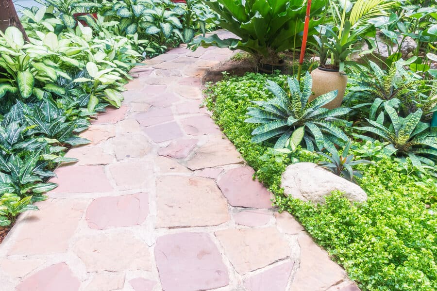 Cobblestone garden path