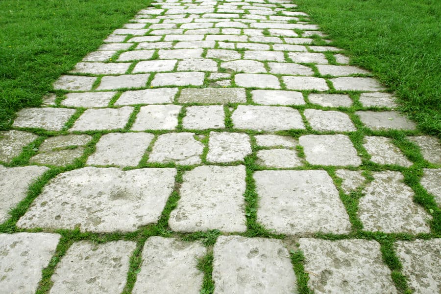 Cobblestone garden path