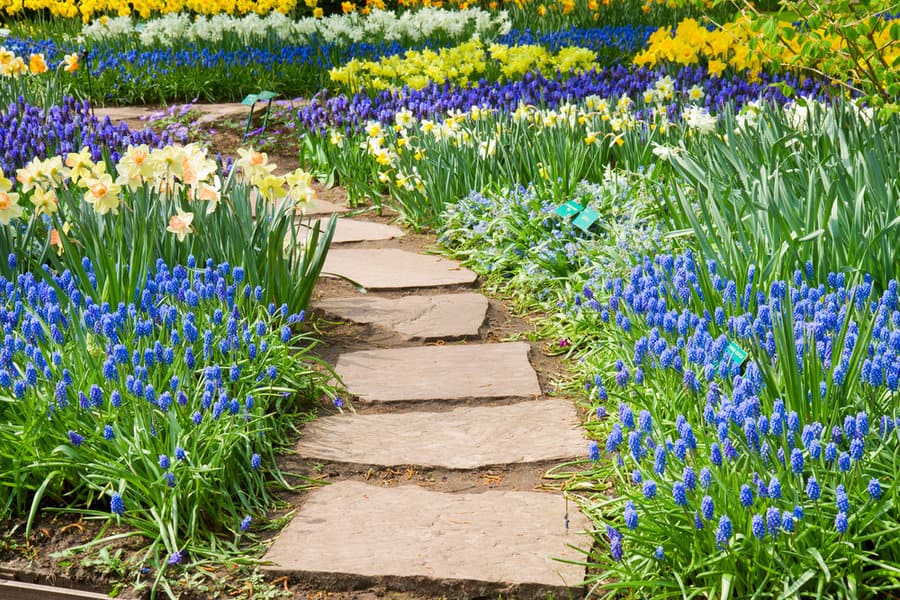 Stamped concrete garden path